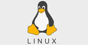 Linux Terminal